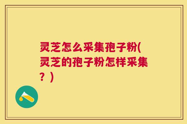 灵芝怎么采集孢子粉(灵芝的孢子粉怎样采集?) 灵芝怎么采集孢子粉(灵芝的孢子粉怎样采集?)