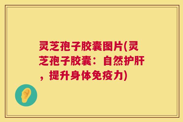 灵芝孢子胶囊图片(灵芝孢子胶囊:自然,提升身体免疫力) 灵芝孢子胶囊图片(灵芝孢子胶囊:自然,提升身体免疫力)