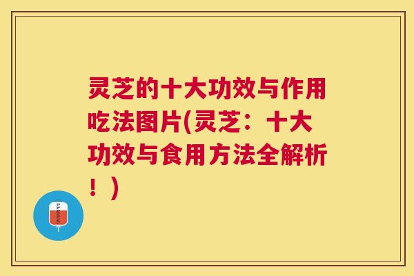 灵芝的十大功效与作用吃法图片(灵芝:十大功效与食用方法全解析!) 灵芝的十大功效与作用吃法图片(灵芝:十大功效与食用方法全解析!)