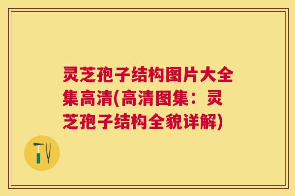 灵芝孢子结构图片大全集高清(高清图集:灵芝孢子结构全貌详解) 灵芝孢子结构图片大全集高清(高清图集:灵芝孢子结构全貌详解)