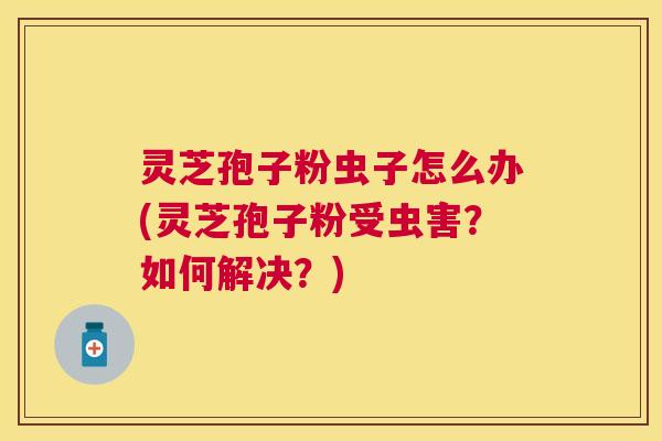 灵芝孢子粉虫子怎么办(灵芝孢子粉受虫害?如何解决?) 灵芝孢子粉虫子怎么办(灵芝孢子粉受虫害?如何解决?)