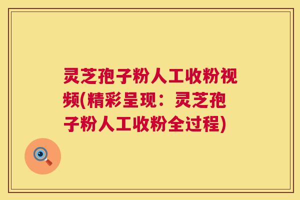 灵芝孢子粉人工收粉视频(精彩呈现：灵芝孢子粉人工收粉全过程)