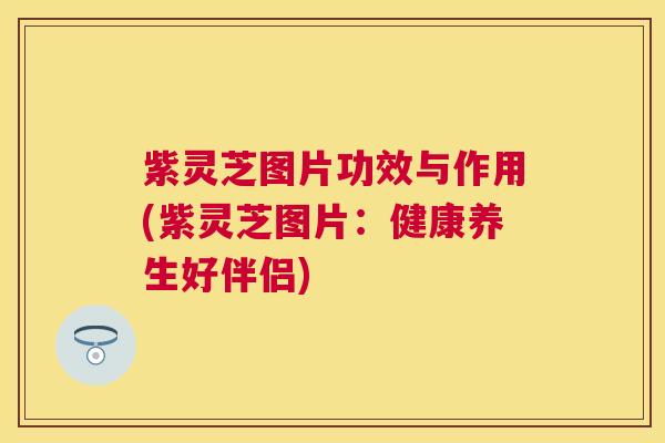 紫灵芝图片功效与作用(紫灵芝图片：健康养生好伴侣)