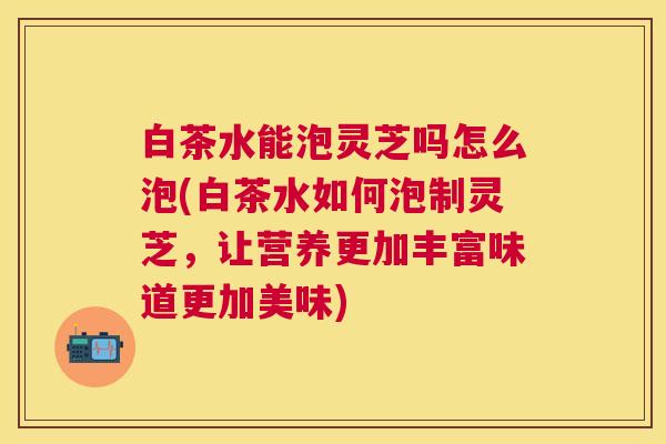 白茶水能泡灵芝吗怎么泡(白茶水如何泡制灵芝，让营养更加丰富味道更加美味)