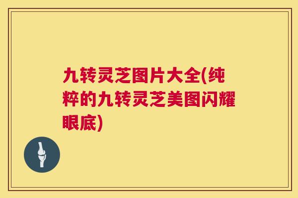 九转灵芝图片大全(纯粹的九转灵芝美图闪耀眼底)