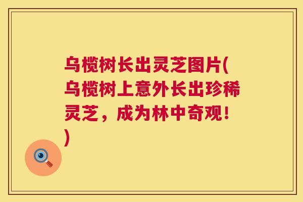 乌榄树长出灵芝图片(乌榄树上意外长出珍稀灵芝,成为林中奇观!) 乌榄树长出灵芝图片(乌榄树上意外长出珍稀灵芝,成为林中奇观!)