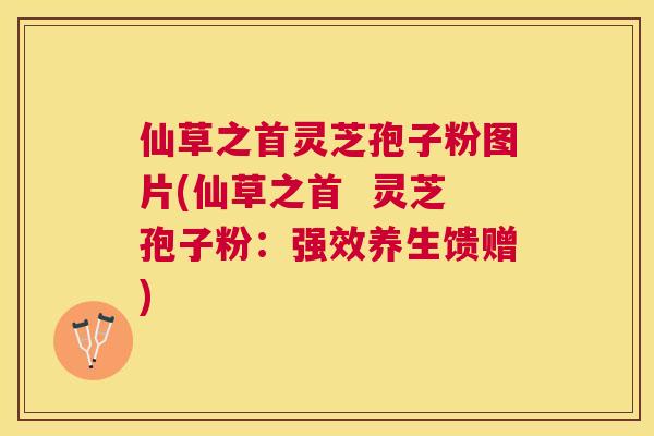 仙草之首灵芝孢子粉图片(仙草之首  灵芝孢子粉：强效养生馈赠)