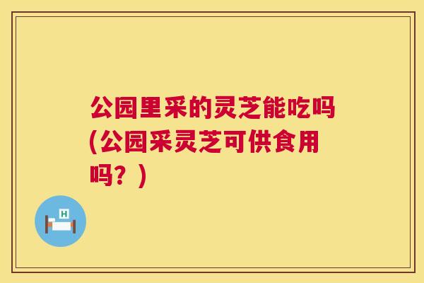 公园里采的灵芝能吃吗(公园采灵芝可供食用吗?) 公园里采的灵芝能吃吗(公园采灵芝可供食用吗?)
