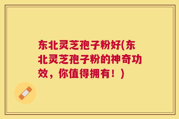 东北灵芝孢子粉好(东北灵芝孢子粉的神奇功效,你值得拥有!) 东北灵芝孢子粉好(东北灵芝孢子粉的神奇功效,你值得拥有!)