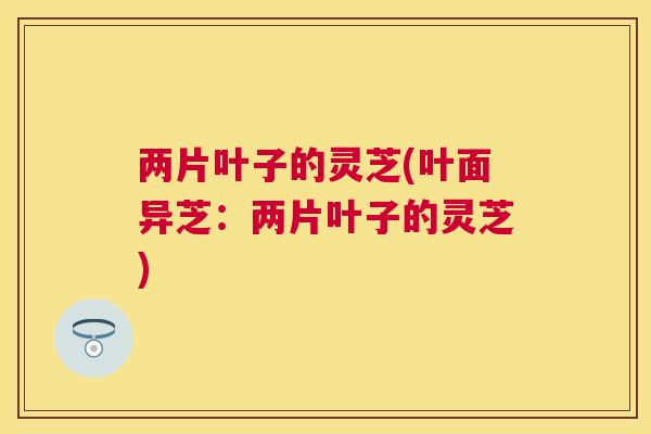 两片叶子的灵芝(叶面异芝：两片叶子的灵芝)