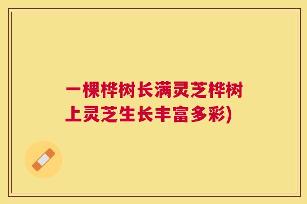 一棵桦树长满灵芝桦树上灵芝生长丰富多彩) 一棵桦树长满灵芝桦树上灵芝生长丰富多彩)