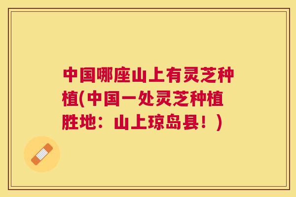 中国哪座山上有灵芝种植(中国一处灵芝种植胜地:山上琼岛县!) 中国哪座山上有灵芝种植(中国一处灵芝种植胜地:山上琼岛县!)