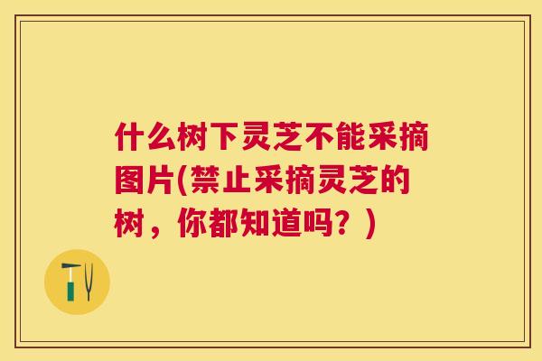 什么树下灵芝不能采摘图片(禁止采摘灵芝的树，你都知道吗？)