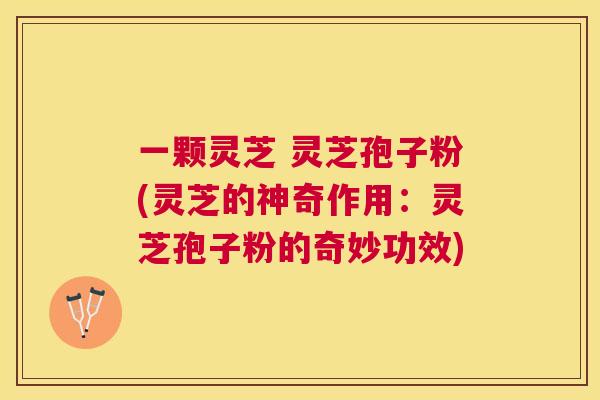 一颗灵芝 灵芝孢子粉(灵芝的神奇作用：灵芝孢子粉的奇妙功效)