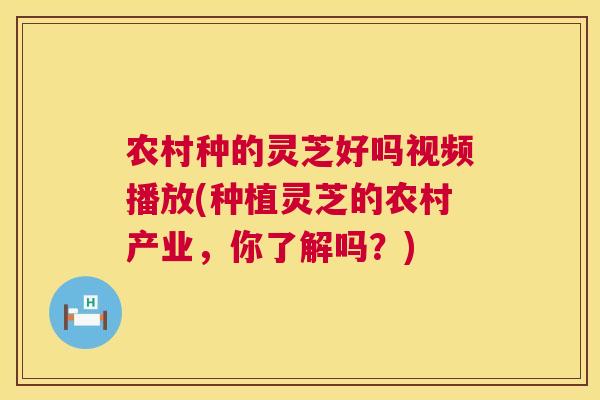 农村种的灵芝好吗视频播放(种植灵芝的农村产业,你了解吗?) 农村种的灵芝好吗视频播放(种植灵芝的农村产业,你了解吗?)