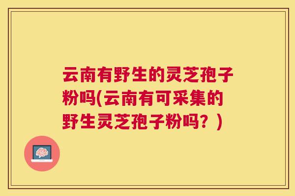 云南有野生的灵芝孢子粉吗(云南有可采集的野生灵芝孢子粉吗?) 云南有野生的灵芝孢子粉吗(云南有可采集的野生灵芝孢子粉吗?)