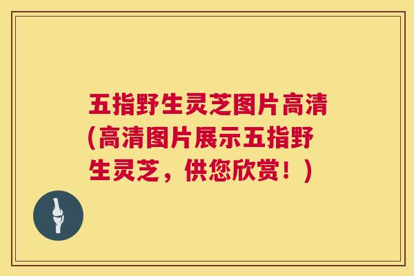 五指野生灵芝图片高清(高清图片展示五指野生灵芝，供您欣赏！)