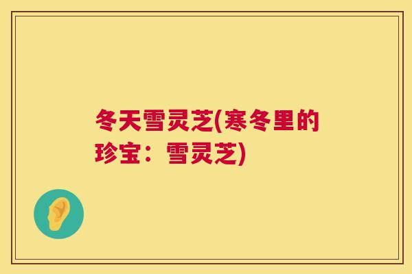 冬天雪灵芝(寒冬里的珍宝:雪灵芝) 冬天雪灵芝(寒冬里的珍宝:雪灵芝)