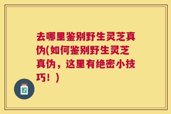 去哪里鉴别野生灵芝真伪(如何鉴别野生灵芝真伪,这里有绝密小技巧!) 去哪里鉴别野生灵芝真伪(如何鉴别野生灵芝真伪,这里有绝密小技巧!)