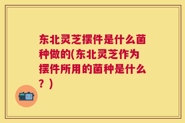 东北灵芝摆件是什么菌种做的(东北灵芝作为摆件所用的菌种是什么？)