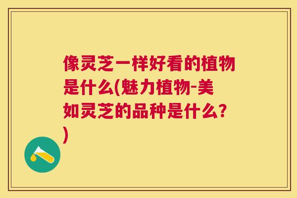 像灵芝一样好看的植物是什么(魅力植物-美如灵芝的品种是什么？)