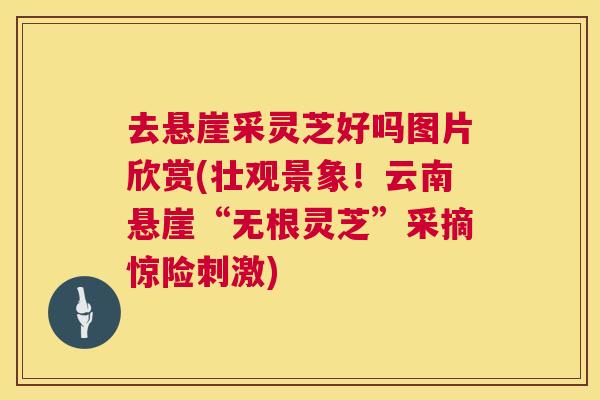 去悬崖采灵芝好吗图片欣赏(壮观景象!云南悬崖“无根灵芝”采摘惊险刺激) 去悬崖采灵芝好吗图片欣赏(壮观景象!云南悬崖“无根灵芝”采摘惊险刺激)