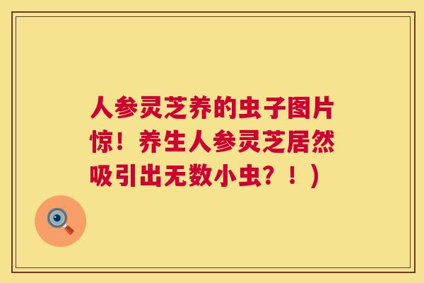 人参灵芝养的虫子图片惊！养生人参灵芝居然吸引出无数小虫？！)