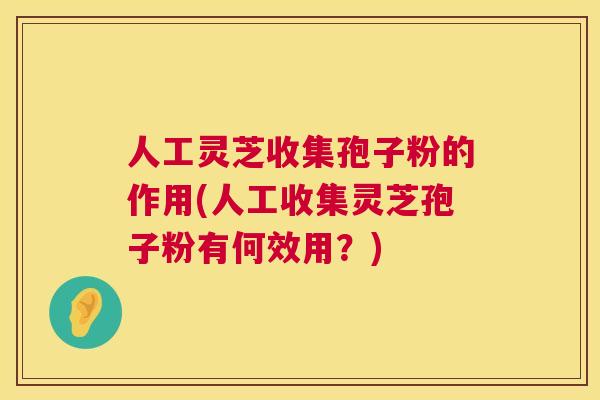 人工灵芝收集孢子粉的作用(人工收集灵芝孢子粉有何效用?) 人工灵芝收集孢子粉的作用(人工收集灵芝孢子粉有何效用?)