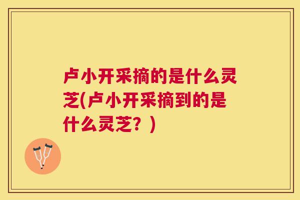 卢小开采摘的是什么灵芝(卢小开采摘到的是什么灵芝？)
