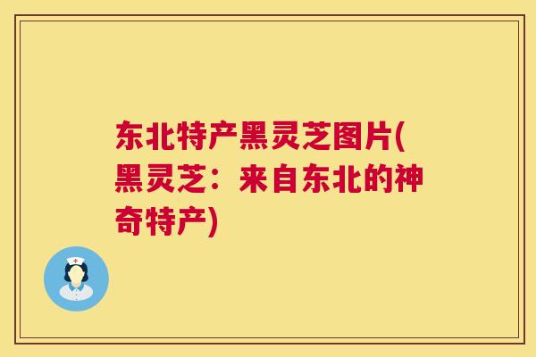 东北特产黑灵芝图片(黑灵芝:来自东北的神奇特产) 东北特产黑灵芝图片(黑灵芝:来自东北的神奇特产)