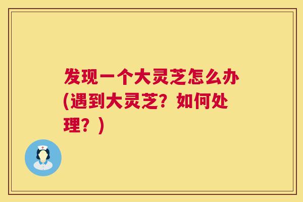 发现一个大灵芝怎么办(遇到大灵芝?如何处理?) 发现一个大灵芝怎么办(遇到大灵芝?如何处理?)
