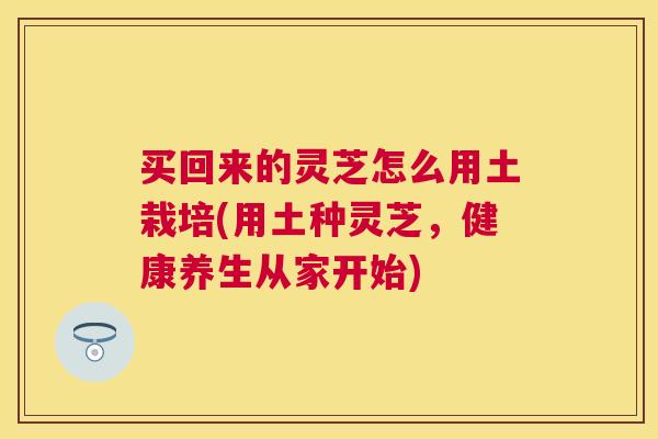 买回来的灵芝怎么用土栽培(用土种灵芝，健康养生从家开始)