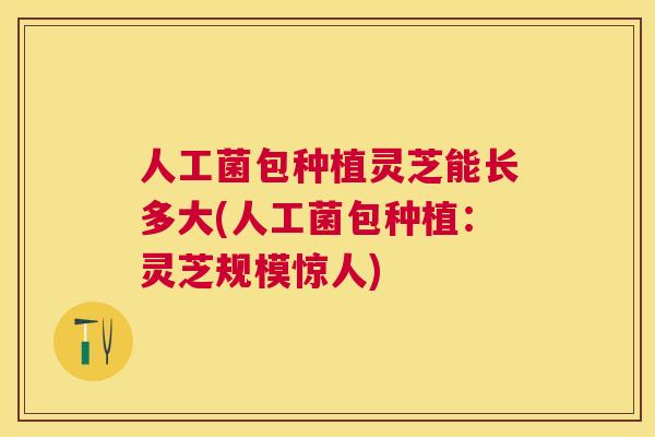 人工菌包种植灵芝能长多大(人工菌包种植：灵芝规模惊人)