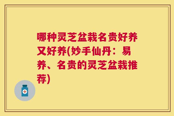 哪种灵芝盆栽名贵好养又好养(妙手仙丹:易养、名贵的灵芝盆栽推荐) 哪种灵芝盆栽名贵好养又好养(妙手仙丹:易养、名贵的灵芝盆栽推荐)