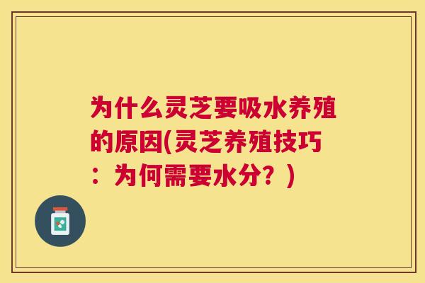 为什么灵芝要吸水养殖的原因(灵芝养殖技巧:为何需要水分?) 为什么灵芝要吸水养殖的原因(灵芝养殖技巧:为何需要水分?)