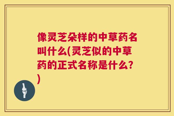 像灵芝朵样的中草药名叫什么(灵芝似的中草药的正式名称是什么?) 像灵芝朵样的中草药名叫什么(灵芝似的中草药的正式名称是什么?)