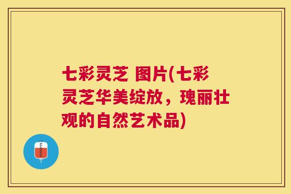 七彩灵芝 图片(七彩灵芝华美绽放,瑰丽壮观的自然艺术品) 七彩灵芝 图片(七彩灵芝华美绽放,瑰丽壮观的自然艺术品)