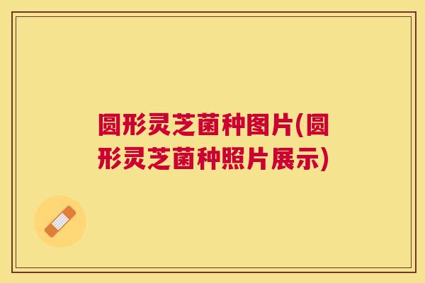 圆形灵芝菌种图片(圆形灵芝菌种照片展示) 圆形灵芝菌种图片(圆形灵芝菌种照片展示)