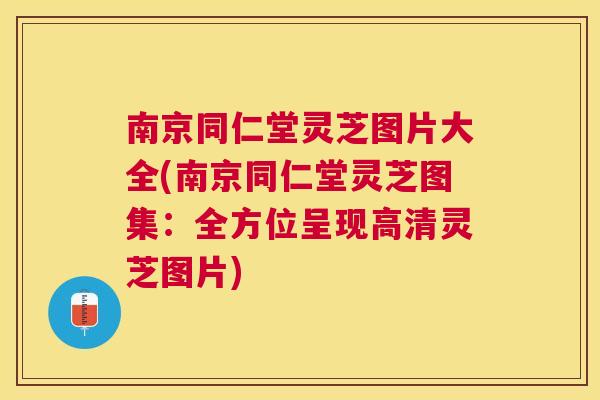 南京同仁堂灵芝图片大全(南京同仁堂灵芝图集：全方位呈现高清灵芝图片)