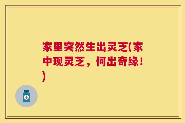 家里突然生出灵芝(家中现灵芝,何出奇缘!) 家里突然生出灵芝(家中现灵芝,何出奇缘!)