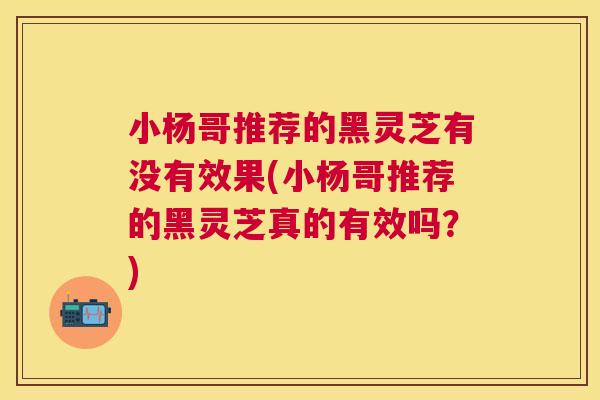 小杨哥推荐的黑灵芝有没有效果(小杨哥推荐的黑灵芝真的有效吗？)