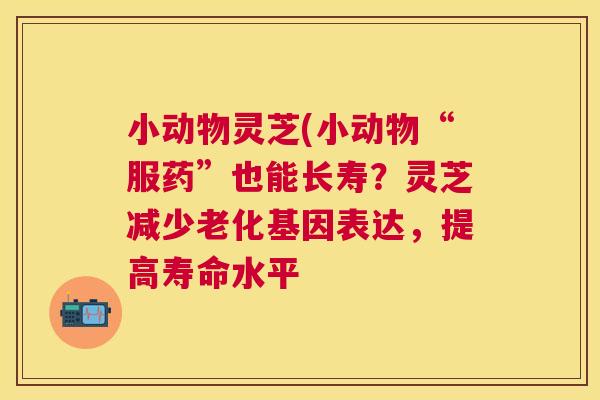 小动物灵芝(小动物“服药”也能长寿？灵芝减少老化基因表达，提高寿命水平