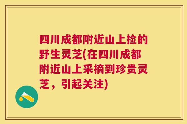 四川成都附近山上捡的野生灵芝(在四川成都附近山上采摘到珍贵灵芝,引起关注) 四川成都附近山上捡的野生灵芝(在四川成都附近山上采摘到珍贵灵芝,引起关注)
