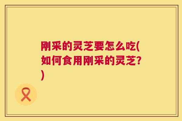 刚采的灵芝要怎么吃(如何食用刚采的灵芝？)