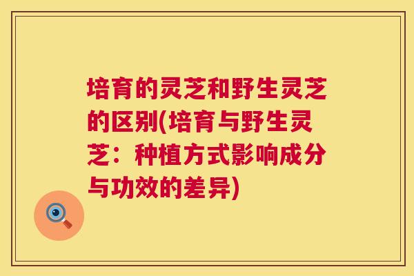 培育的灵芝和野生灵芝的区别(培育与野生灵芝:种植方式影响成分与功效的差异) 培育的灵芝和野生灵芝的区别(培育与野生灵芝:种植方式影响成分与功效的差异)