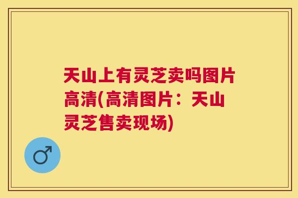 天山上有灵芝卖吗图片高清(高清图片:天山灵芝售卖现场) 天山上有灵芝卖吗图片高清(高清图片:天山灵芝售卖现场)