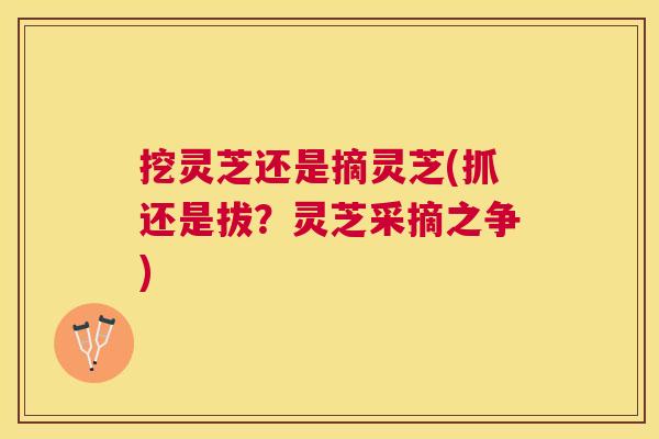 挖灵芝还是摘灵芝(抓还是拔?灵芝采摘之争) 挖灵芝还是摘灵芝(抓还是拔?灵芝采摘之争)