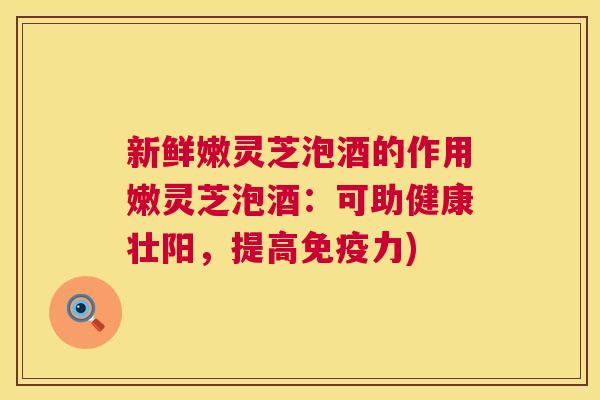 新鲜嫩灵芝泡酒的作用嫩灵芝泡酒:可助健康壮阳,提高免疫力) 新鲜嫩灵芝泡酒的作用嫩灵芝泡酒:可助健康壮阳,提高免疫力)