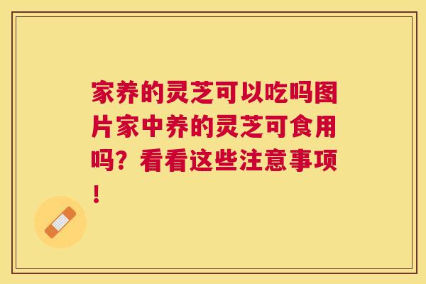 家养的灵芝可以吃吗图片家中养的灵芝可食用吗？看看这些注意事项！