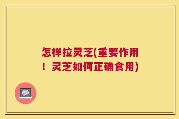 怎样拉灵芝(重要作用!灵芝如何正确食用) 怎样拉灵芝(重要作用!灵芝如何正确食用)